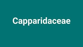 Capparidaceae Meaning and Pronunciation [upl. by Yelahs342]