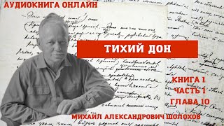 quotТихий Донquot книга 1 часть 1 глава 10 Михаил Шолохов Краткое содержание в описании [upl. by Oznofla]