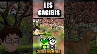 111 LES CAGIBIS [upl. by Lateehs346]