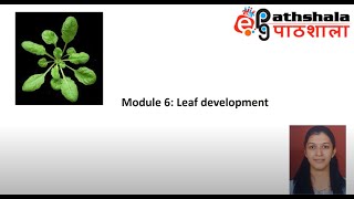 Module 6 Leaf Development EPGPathshala [upl. by Peterec848]