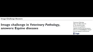 podcast 24B quotImage Challenge In Veterinary Pathology Answers Equine Diseasesquot 1540 [upl. by Eelana]