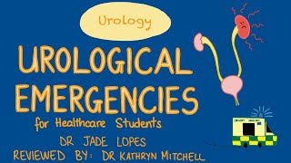 UROLOGY  Urological Emergencies for Healthcare Students [upl. by Nirik]