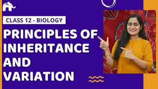 Principles of Inheritance and Variation Class 12 Biology Genetics One Shot NCERT CBSE NEET [upl. by Gothart]