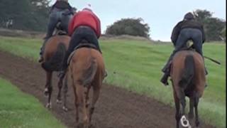 Middleham Racehorse Trainers [upl. by Euhc]