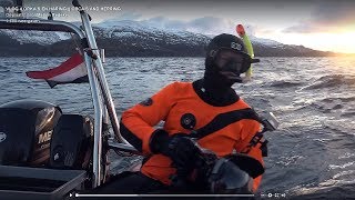 VLOG 4 SNORKELEN MET ORKAS Arctisch Noorwegen [upl. by Rogergcam]