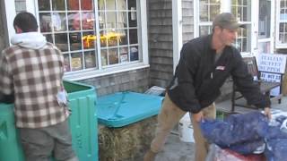 Oysters and clams arrive at Wellfleet OysterFest [upl. by Arral]