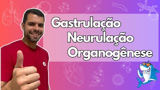 Embriologia  Aula 4  Gastrulação Neurulação e Organogênese [upl. by Mccartan]