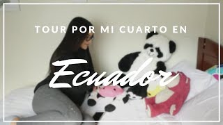 ROOM TOUR ECUADOR  TOUR POR MI CUARTO [upl. by Rotce]