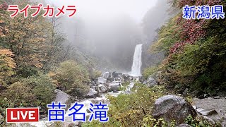 ライブカメラ 苗名滝 新潟県Live camera Naena Waterfall Niigata Prefecture [upl. by Harrington]