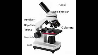 Partes del microscopía [upl. by Gardiner]