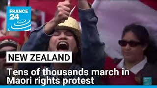 Tens of thousands march in New Zealand Maori rights protest • FRANCE 24 English [upl. by Isborne]