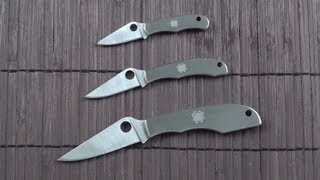 Perfect keychain knives Spyderco bug set review [upl. by Ym]