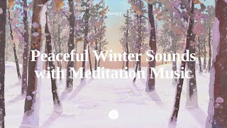 Therapy Magical Frozen Forest Ambience with Relaxing Music  Snowfall Sounds in Winter Landscape [upl. by Anayeek495]