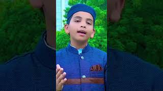 Sare Jahan Se Acha Hindustan Hamara  S4  By Ammar Asad [upl. by Ybrek825]