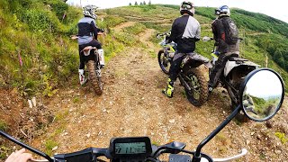 Honda Grom Vs Enduro Bikes  OFFROAD [upl. by Alahcim720]