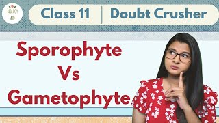 GCSE Biology  DNA Part 2  Alleles  Dominant  Heterozygous  Phenotypes and more 64 [upl. by Holly]