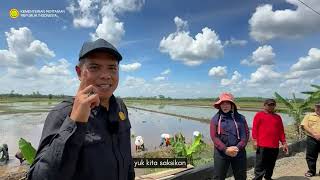 Swasembada Pangan Nasional Kementan Gencarkan Tanam Padi di Pulau Pisau [upl. by Yelyah301]