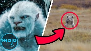 Top 5 Freaky Facts About Yetis [upl. by Corbett521]