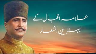 Allama Iqbal Best Poetry  Urdu Poetry [upl. by Shulem751]