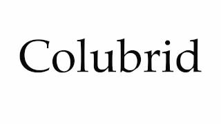 How to Pronounce Colubrid [upl. by Krueger]