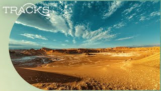 The Desert Rainless For 400 Years Atacama  TRACKS [upl. by Eldwon]