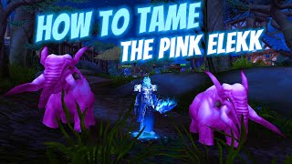 How to Tame the Pink Elekk  Only Tameable During Brewfest  Hunter Secret Pet  Synthebrew Goggles [upl. by Abigail]