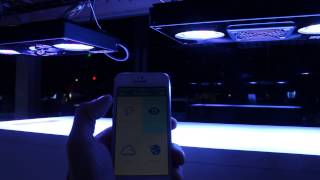 EcotechMarine ReefLink Radion [upl. by Dusen860]