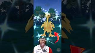 Daily incense Wild Legendary✨Shiny Galarian Zapdos in pokemon go pokemongo soparstart shiny [upl. by Pytlik]