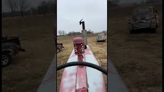 Getting the Grumpy Farmall 460 Diesel out for a trot diesel farmall tractor [upl. by Nairret]