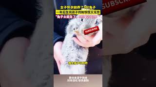 女子懷孕前養了5只兔子，壹年後生完孩子的她驚慌又無奈：兔子太能生了，5只變200只！ cuteanimal [upl. by Shaia97]