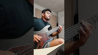 macchina sungazer bass cover [upl. by Amble]