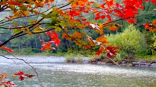 Kamikochi Highlights 上高地ハイライト [upl. by Fancy]