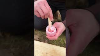 Survival Bushcraft Skills Soap Ki Sardi 🥶survival bushcraft camping outdoors skills shorts [upl. by Pinebrook337]