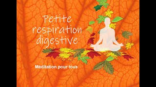 Petite respiration digestive Méditation guidée Sophrologie Parasympathique Nerf vague [upl. by Winne926]