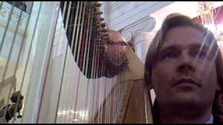 Inside the orchestra harp difficulties vol 1 [upl. by Lyrehs]