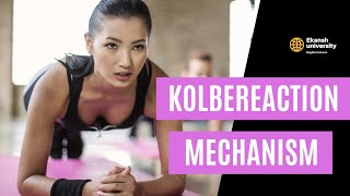 Kolbes reaction mechanism cbse neet shorts tricks ncert ncertsolutions neet2022 [upl. by Aikemahs620]