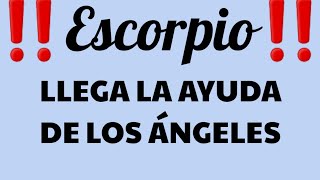 ♏🦂ESCORPIO 🦂♏🧿🔮LECTURA GENERAL 🔮🧿 [upl. by Inar]