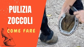 🐴 COME PULIRE GLI ZOCCOLI DI UN CAVALLO  SEGRETI DELLEQUITAZIONE [upl. by Hasen926]