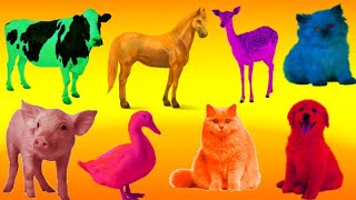 Learn Colors with Farm Animals Farm animal for Kids Colors Review [upl. by Cyna]