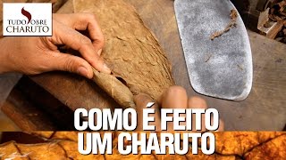 Como é feito um charuto  Tudo Sobre Charuto [upl. by Cleary]