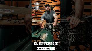 El Estepario Siberiano Los 7 Bateristas Mas Rapidos De La Actualidad shorts [upl. by Ellene133]