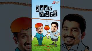 Muttiya Oluwe මුට්ටිය ඔලුවේ  Chooty Malli Podi Malli  shortsbeta [upl. by Sidran]