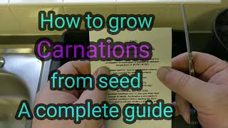 How to grow CarnationsDianthus from seed a complete guide [upl. by Curran]