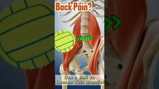 Loosen Up Your Iliopsoas Muscle Use a Ball [upl. by Aiem]