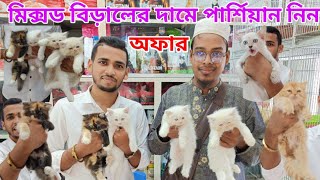 মিক্সড বিড়ালের দামে পার্শিয়ান বিড়াল কিনুন  Persian cat price in Bangladesh  Biggest Animal market [upl. by Hyacinth248]