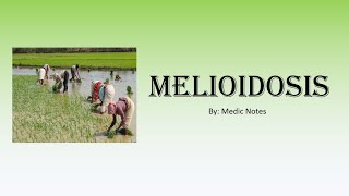 Infectious disease Melioidosis Whitmores disease Burkholderia pseudomallei treatment [upl. by Llenrad]