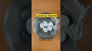 ¿Lavar los huevos es necesario cienciaycocina shorts [upl. by Philbert714]