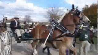 2012  Michigan Great Lakes International Draft Horse Show Part 1 [upl. by Ytiak]