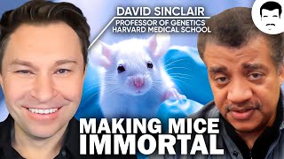 Is Aging a Disease Epigenetics with David Sinclair amp Neil deGrasse Tyson [upl. by Pollard454]