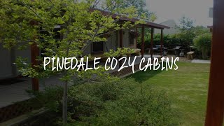 Pinedale Cozy Cabins Review  Pinedale  United States of America [upl. by Pansir463]